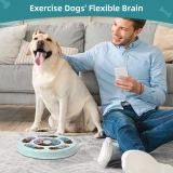 Pet Puzzle Toy